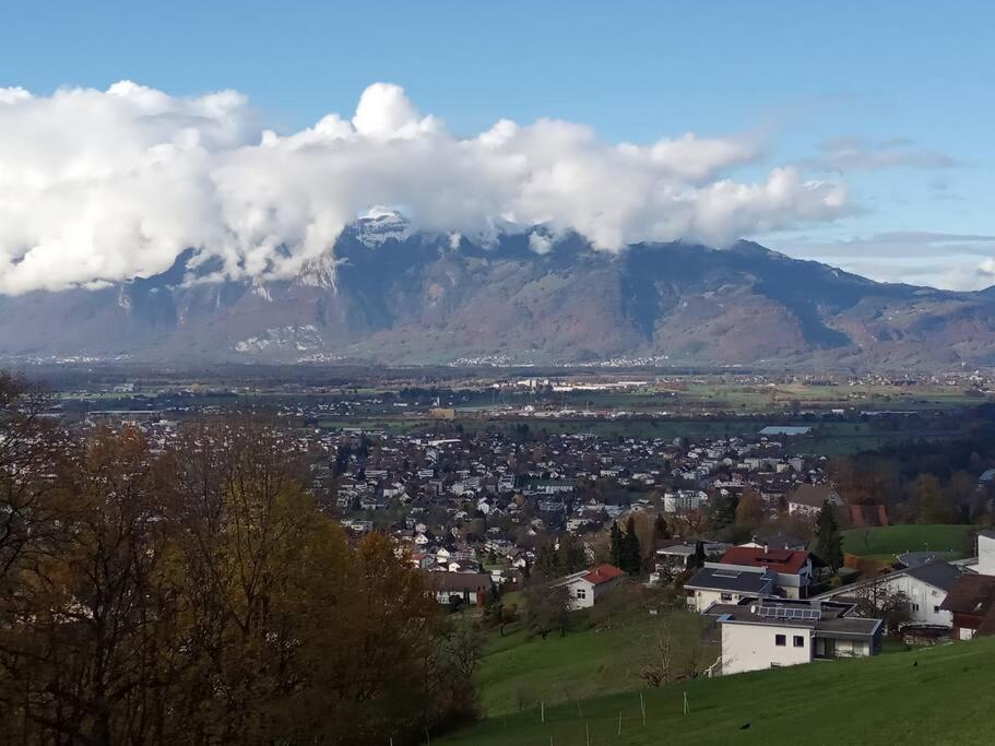 Wohnung Rheintal Im Alpenvorland Batschuns Esterno foto