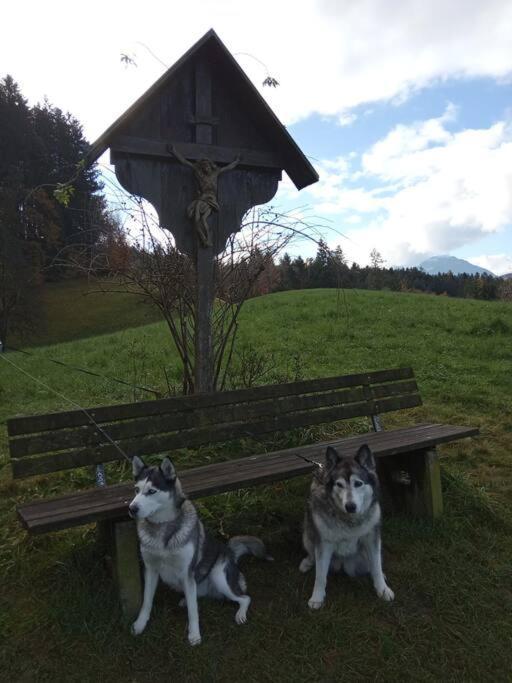 Wohnung Rheintal Im Alpenvorland Batschuns Esterno foto