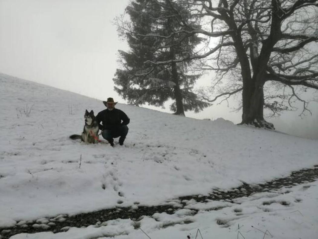 Wohnung Rheintal Im Alpenvorland Batschuns Esterno foto