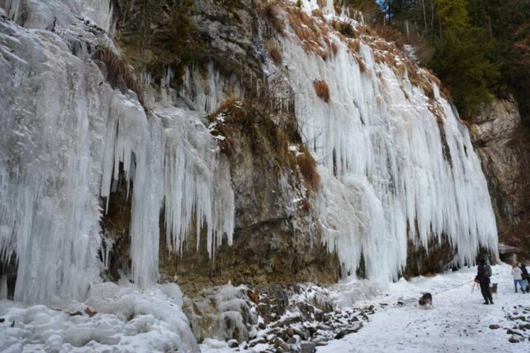Wohnung Rheintal Im Alpenvorland Batschuns Esterno foto
