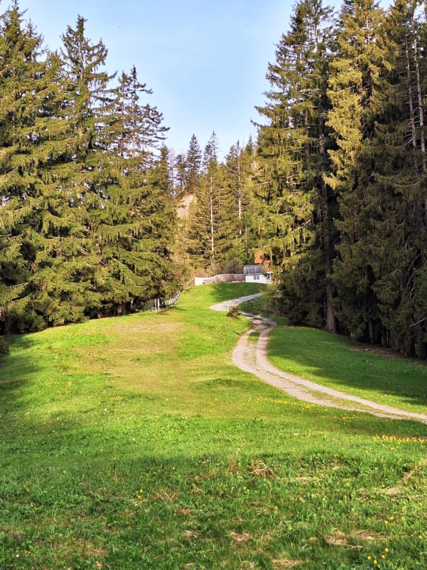Wohnung Rheintal Im Alpenvorland Batschuns Esterno foto