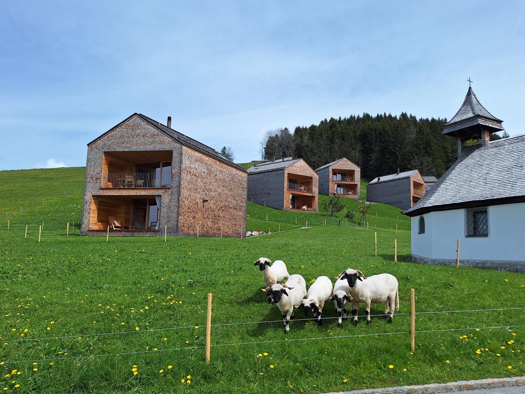 Wohnung Rheintal Im Alpenvorland Batschuns Esterno foto