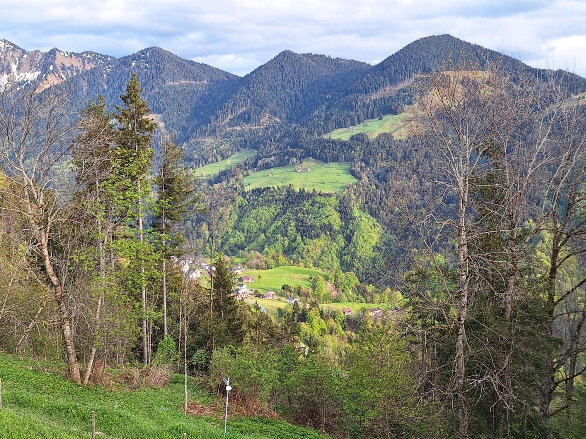 Wohnung Rheintal Im Alpenvorland Batschuns Esterno foto