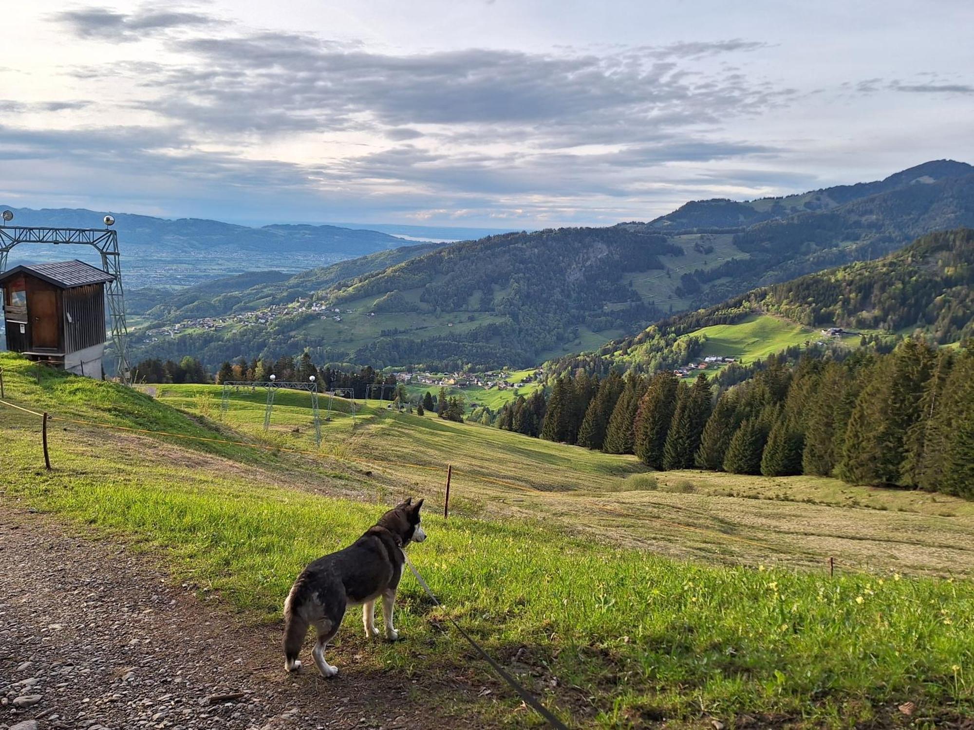 Wohnung Rheintal Im Alpenvorland Batschuns Esterno foto