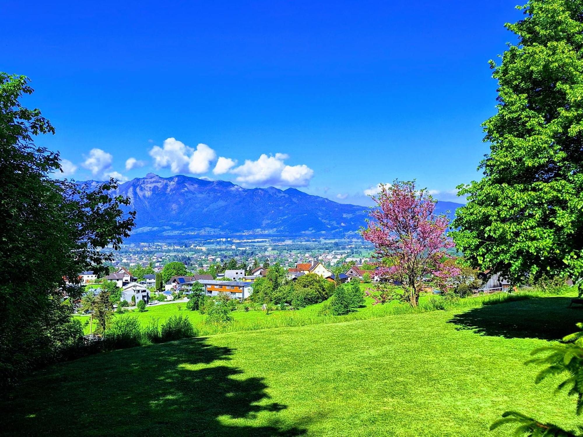 Wohnung Rheintal Im Alpenvorland Batschuns Esterno foto